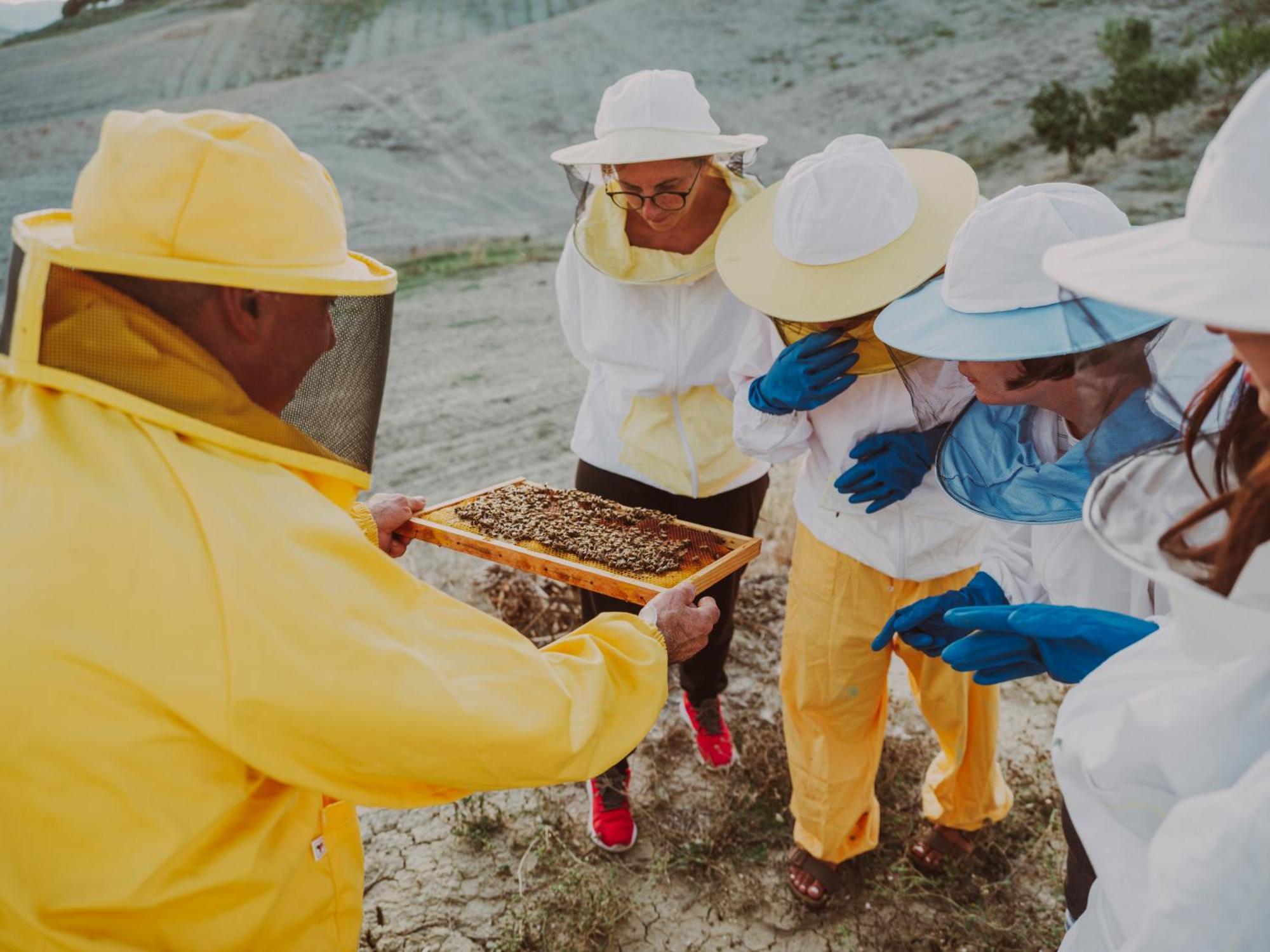 Agriturismo Biologico Diacceroni Villamagna  المظهر الخارجي الصورة