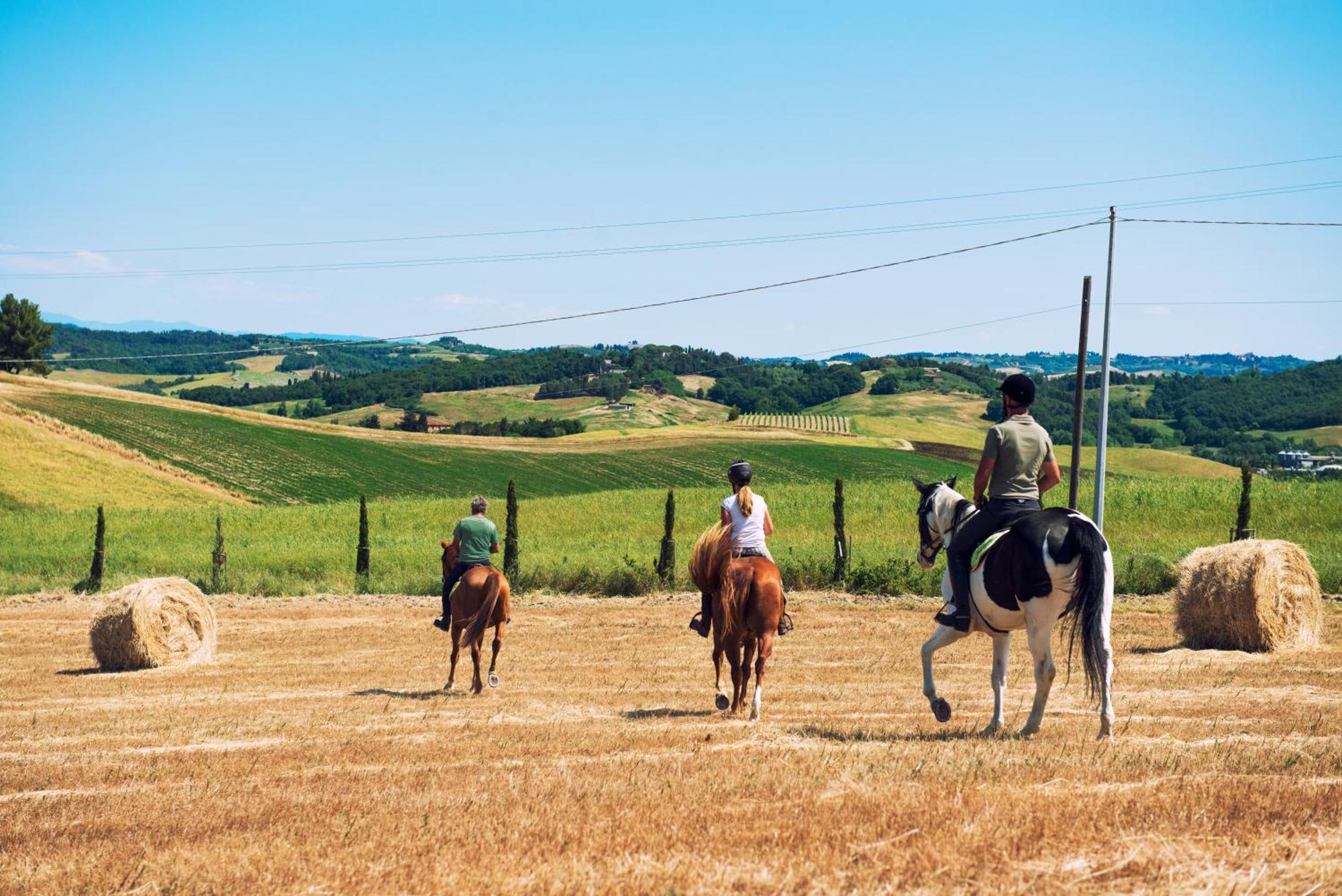 Agriturismo Biologico Diacceroni Villamagna  المظهر الخارجي الصورة